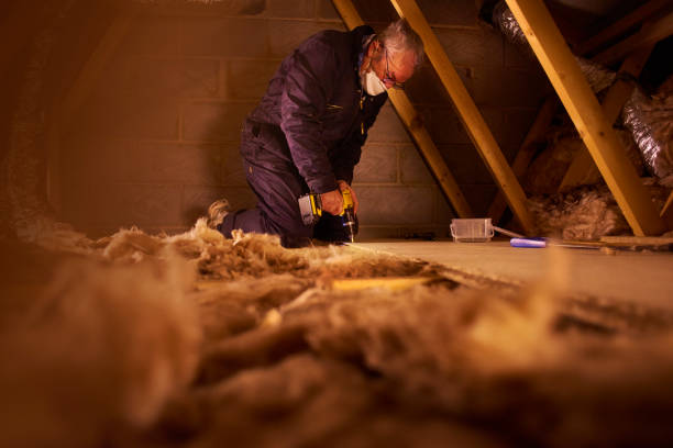 Insulation Inspection Services in Arkwright, SC