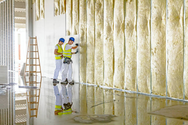 Best Crawl Space Insulation  in Arkwright, SC